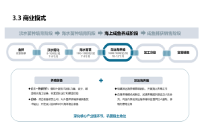 华信咨询完成中国轮滑鞋行业投资预测咨询项目