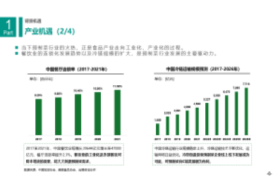 华信咨询完成中国轮滑鞋行业投资预测咨询项目
